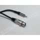 CONEXION CANON XLR H / JACK 3,5 ST